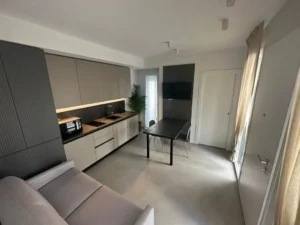 Moderno monolocale con cucina completa e workstation dedicata, ideale per visitatori della Fiera di Rimini a Marina Centro.